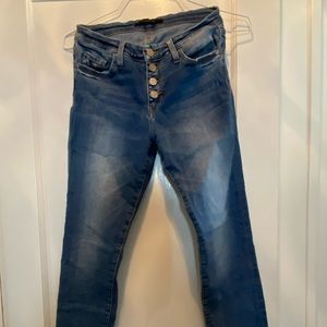 Flying Monkey Ankle Skinny Jeans